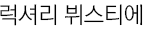 럭셔리 뷔스티에